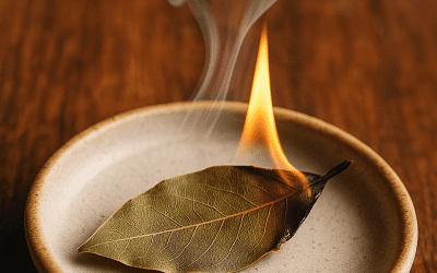 Entzünden Sie ein Lorbeerblatt – und erleben Sie, was passiert